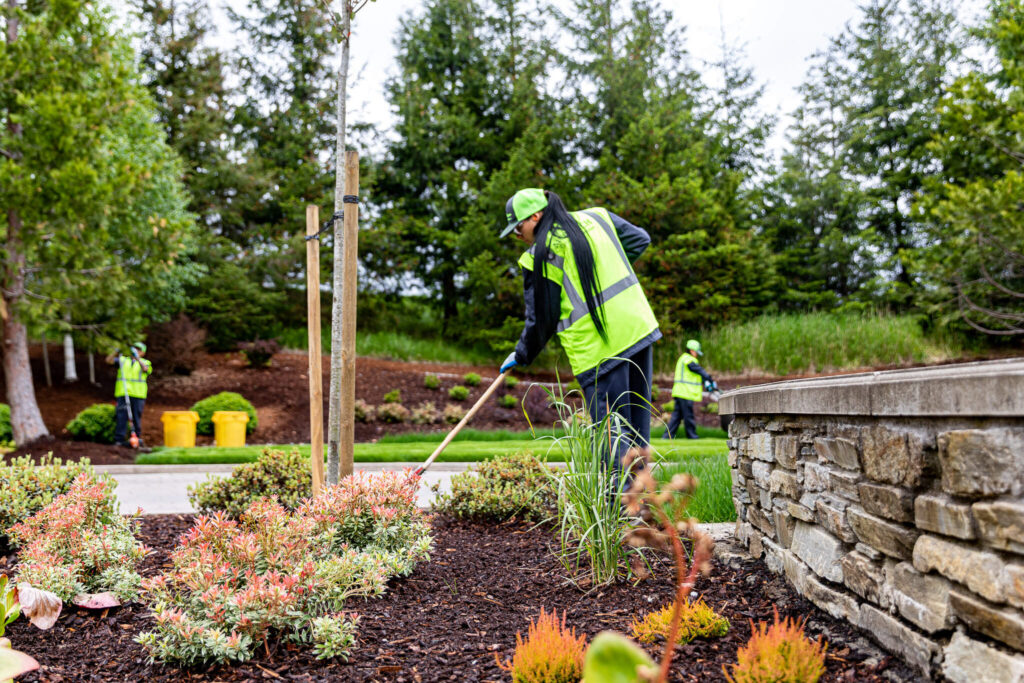 landscaping