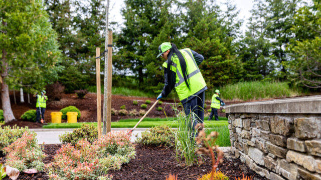 landscaping